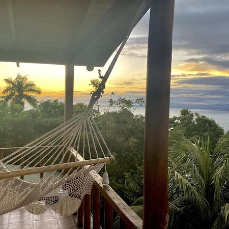 Mizaru Ocean View Hotel Manuel Antonio Quepos Exteriör bild
