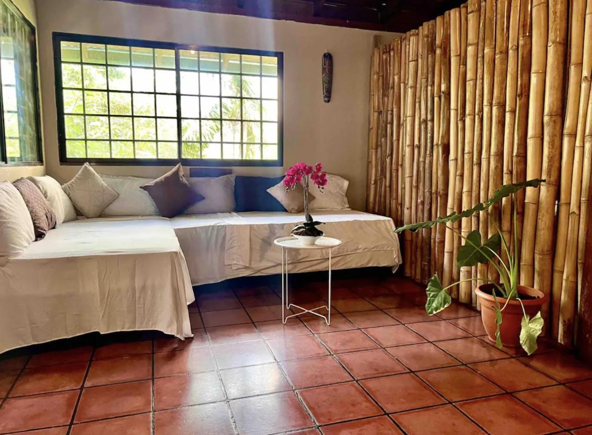 Mizaru Ocean View Hotel Manuel Antonio Quepos Exteriör bild