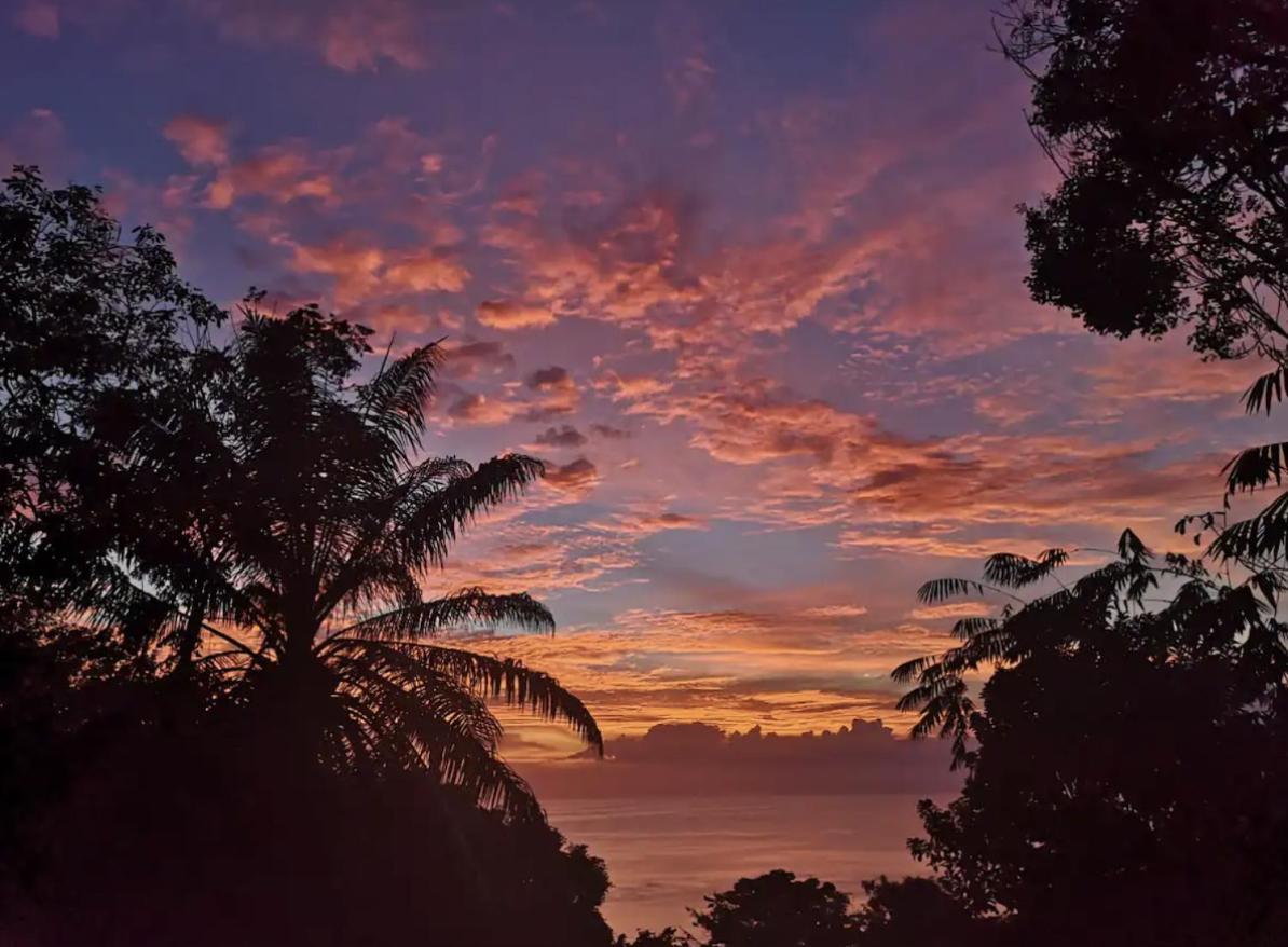 Mizaru Ocean View Hotel Manuel Antonio Quepos Exteriör bild